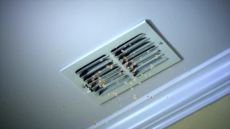 Best Ductwork Cleaning Services  in Redfield, SD